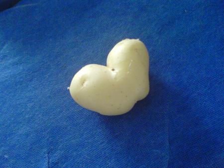 miss patate